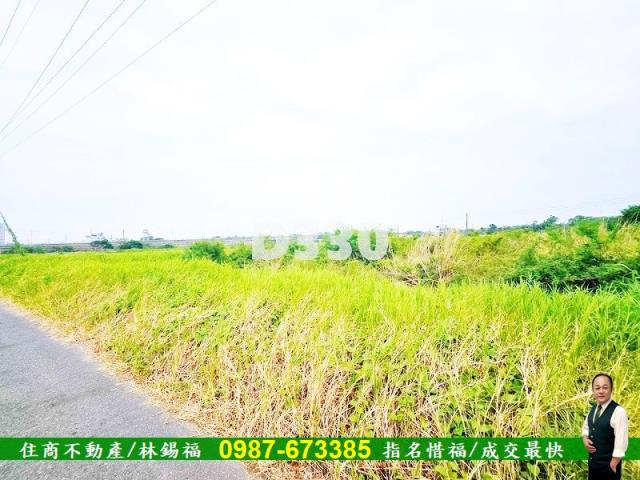 台南仁德農地-4