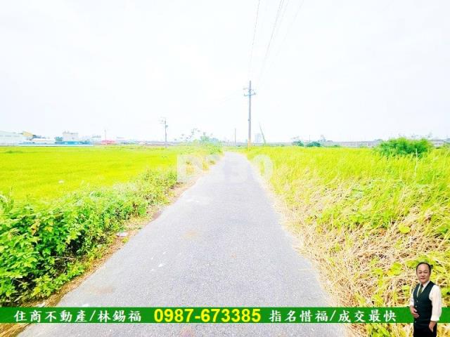 台南仁德農地-5
