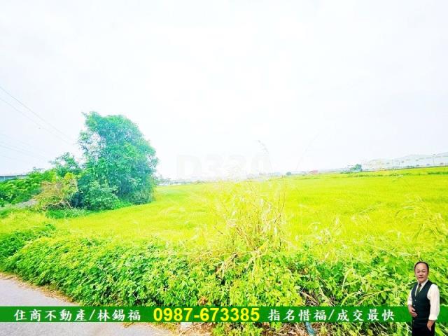 台南仁德農地-6