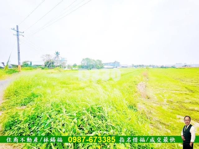 台南仁德農地-7