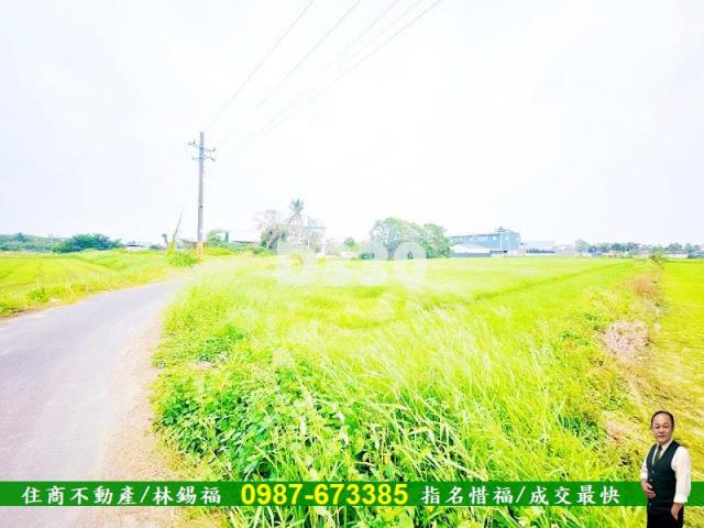 台南仁德農地-8