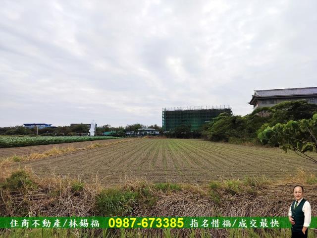 安定農地-1