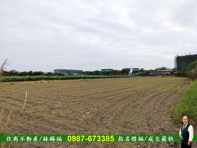 安定農地-2