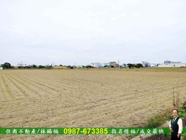 安定農地-4