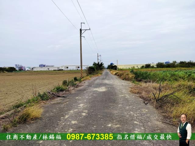 安定農地-6