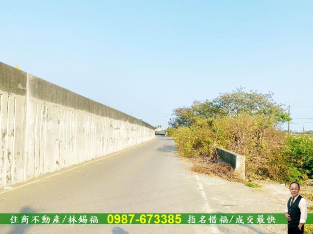台南仁德農地-9
