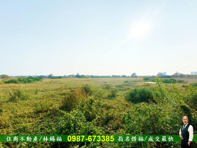 台南仁德農地-2