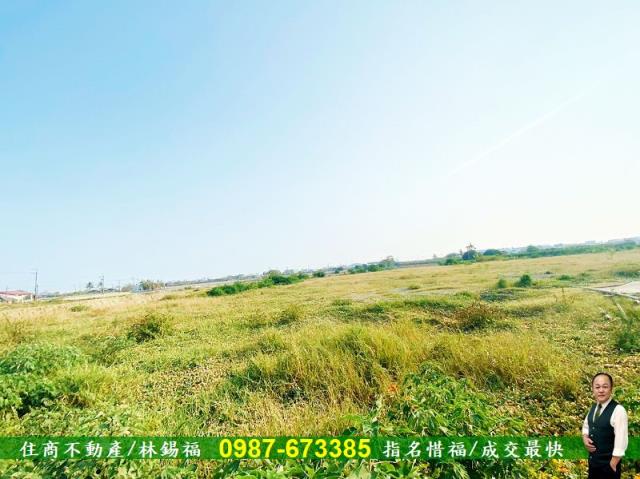 台南仁德農地-3
