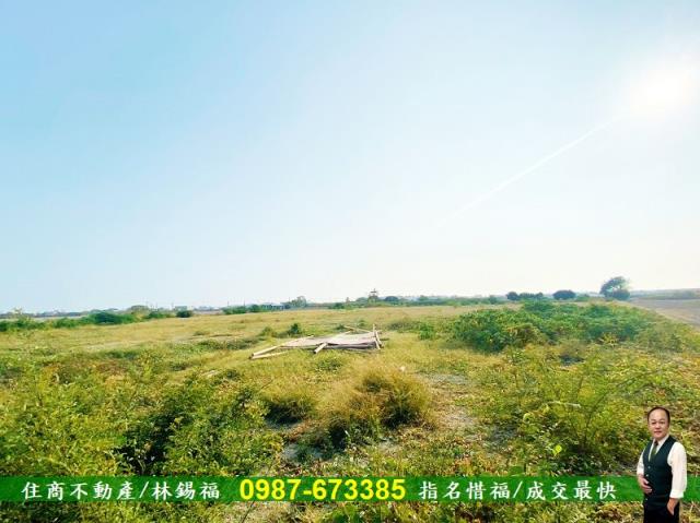 台南仁德農地-6