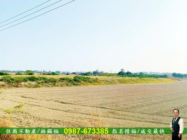台南仁德農地-8
