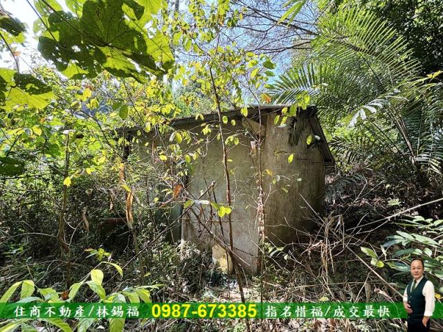 台南左鎮農地-9