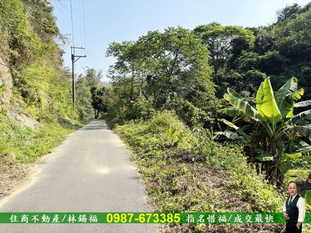台南左鎮農地-3