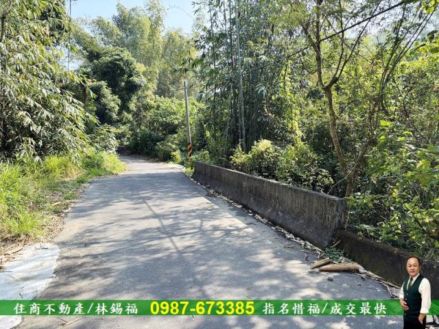 台南左鎮農地-4
