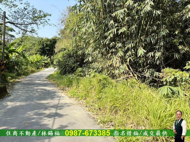 台南左鎮農地-5