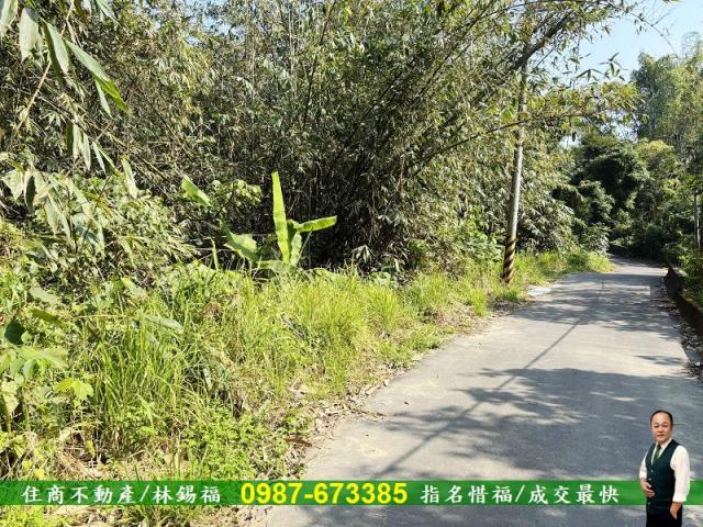 台南左鎮農地-6