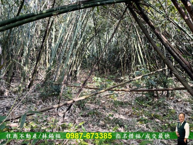 台南左鎮農地-8