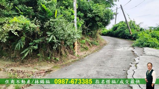 台南農地-10