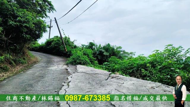 台南農地-11