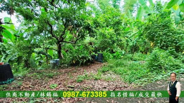 台南農地-1