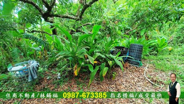 台南農地-3
