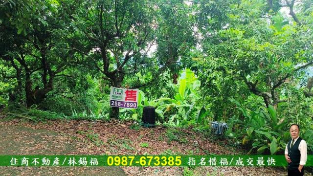 台南農地-5