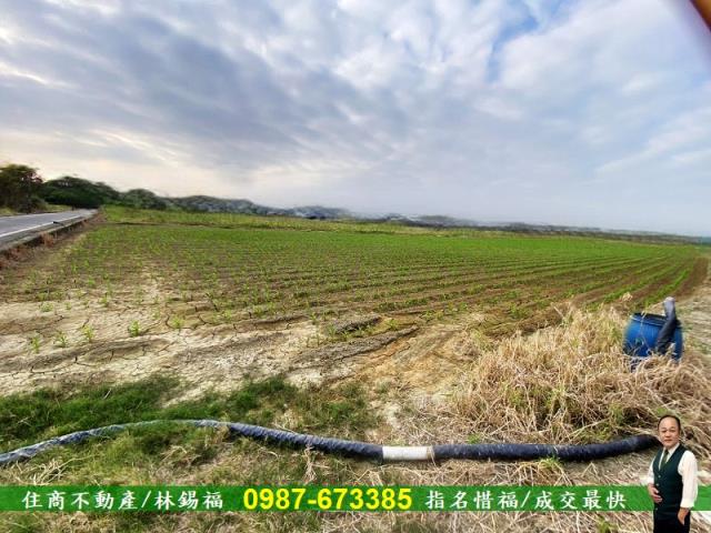 台南農地-2