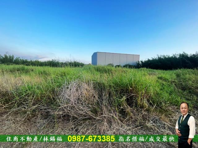 台南農地-9