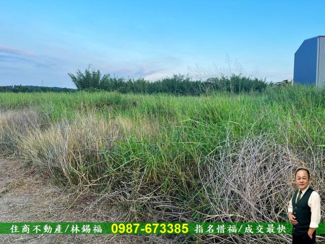 台南農地-10