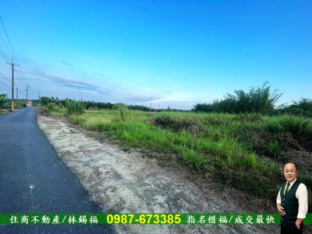 台南農地-4