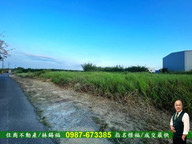 台南農地-6