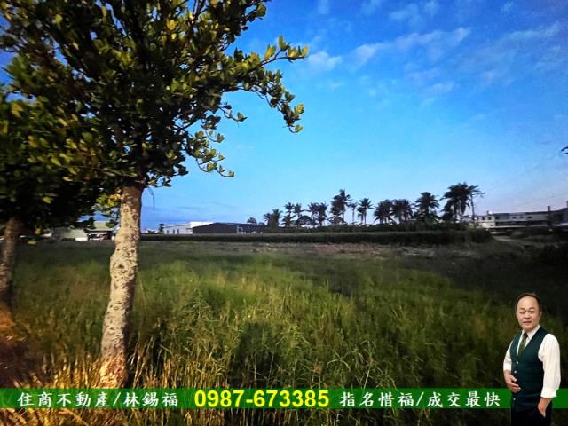台南農地-2