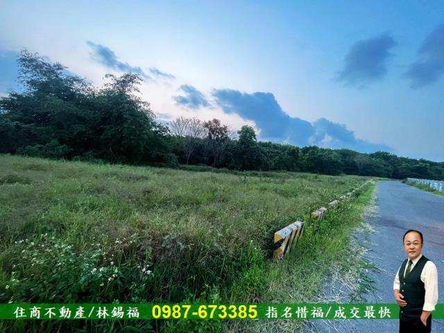 歸仁農地-2