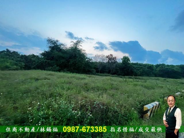 歸仁農地-4