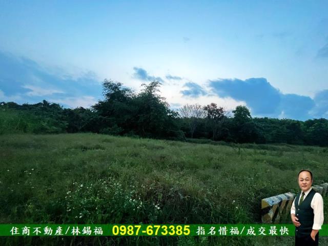 歸仁農地-5