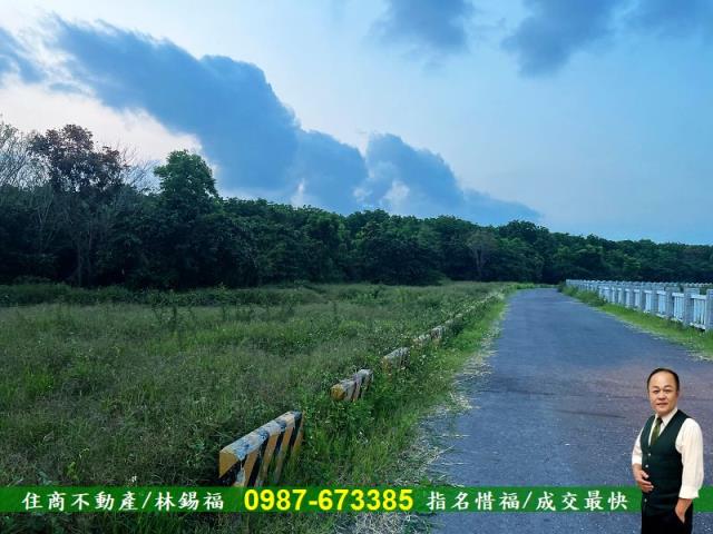 歸仁農地-6