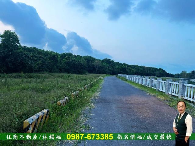 歸仁農地-7