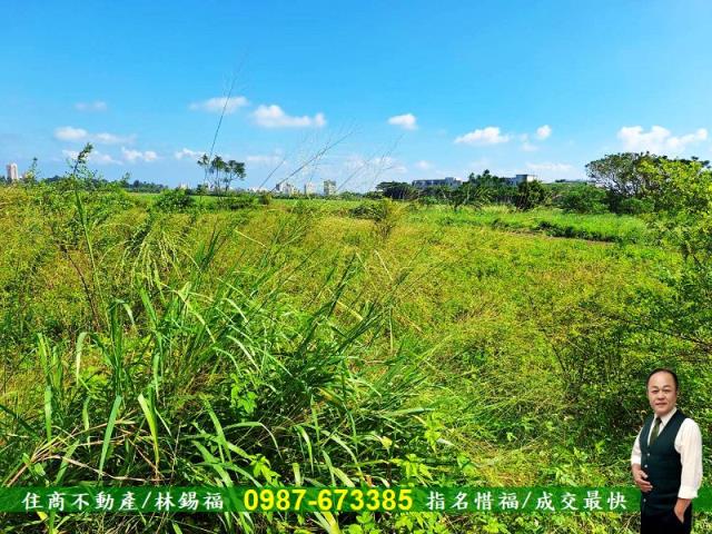 新市農地-6