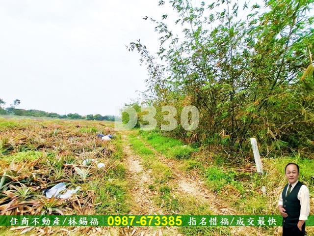 歸仁農地-9