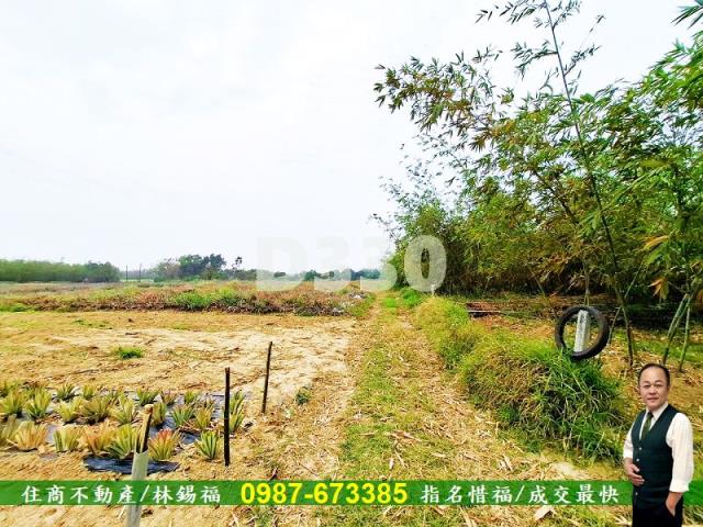 歸仁農地-1