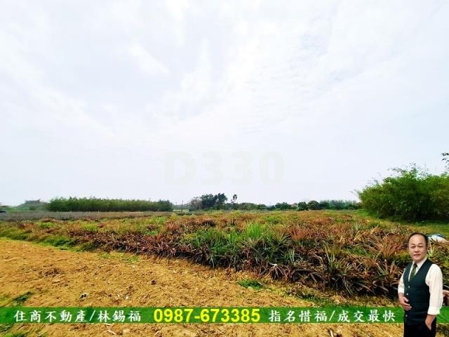 歸仁農地-4
