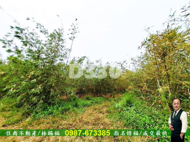 歸仁農地-7