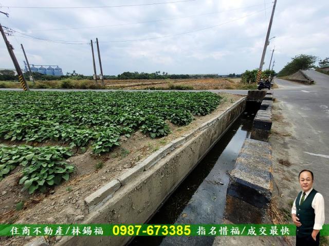 仁德農地-9