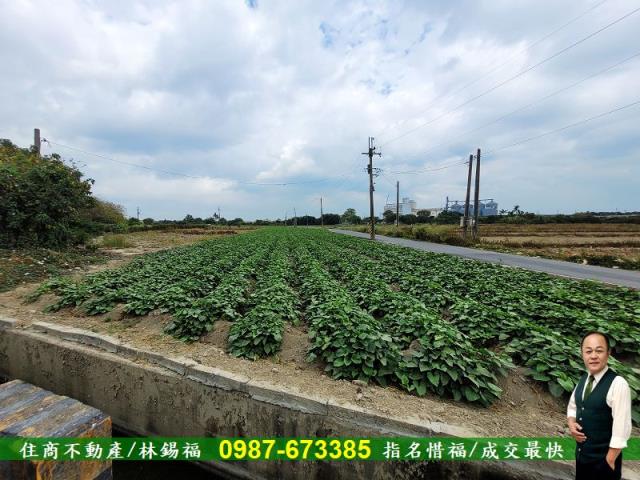 仁德農地-10
