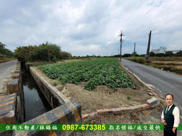 仁德農地-11
