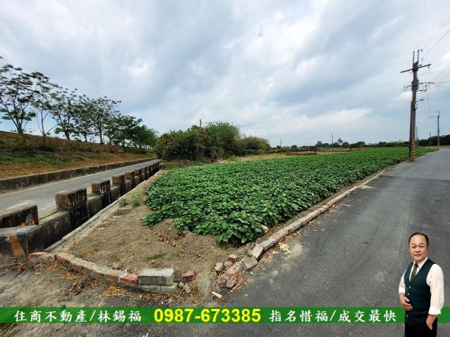 仁德農地-12