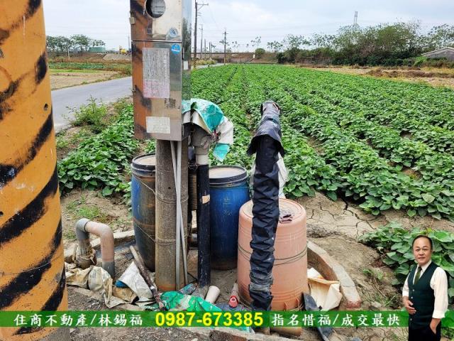仁德農地-13
