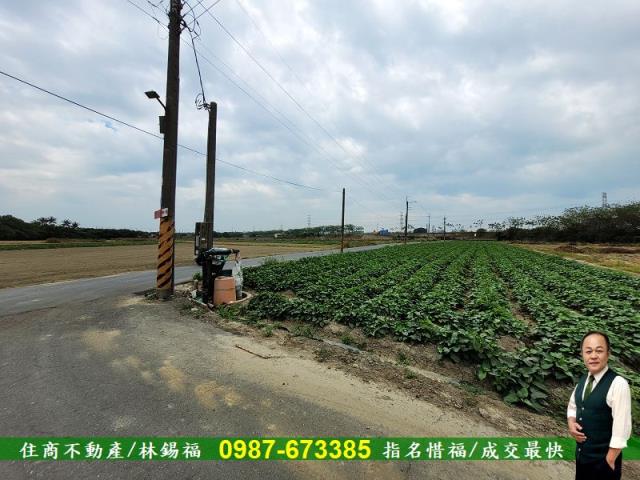 仁德農地-4