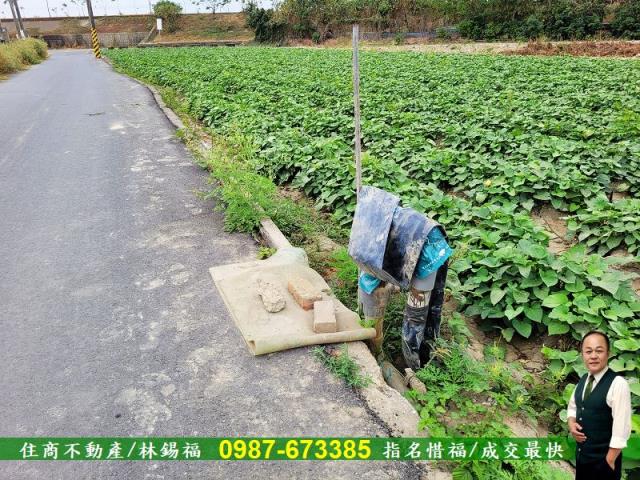 仁德農地-5