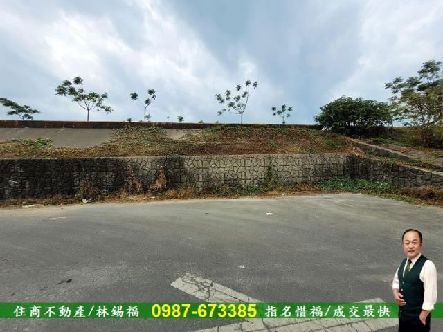 仁德農地-6