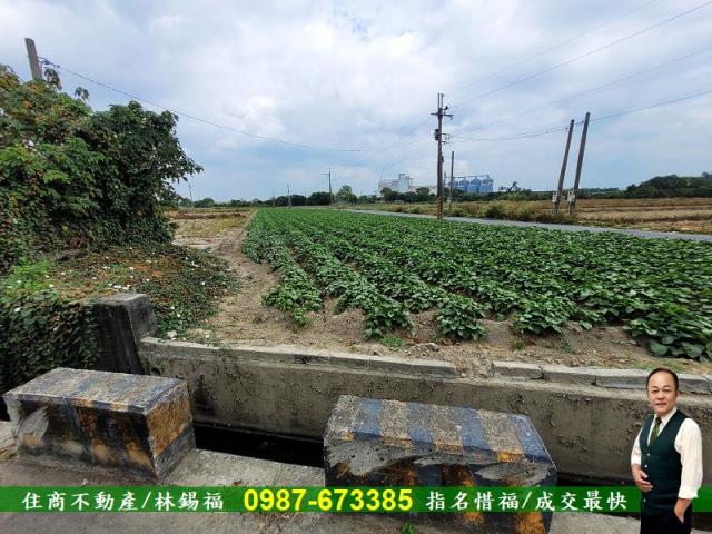 仁德農地-7